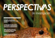 Perspectivas de investigación (Diciembre 2017 – Enero 2018)