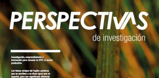 Perspectivas de investigación (Diciembre 2017 – Enero 2018)