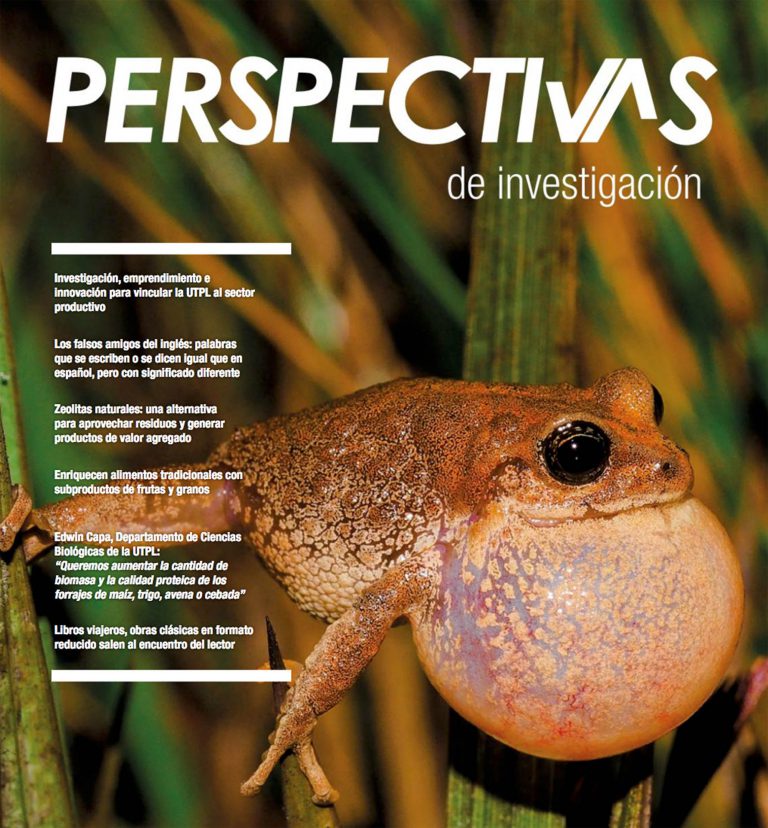 Perspectivas de investigación (Diciembre 2017 – Enero 2018)