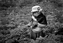 Recorriendo la ruta del “Qhapac Ñan”