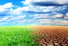 Si el mundo no es consciente del calentamiento global de nada servirá tener finanzas estables