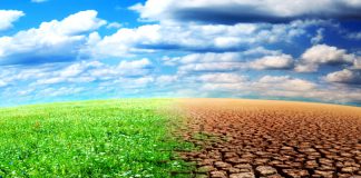 Si el mundo no es consciente del calentamiento global de nada servirá tener finanzas estables