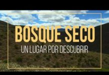 Bosque Seco: Un lugar por descubrir