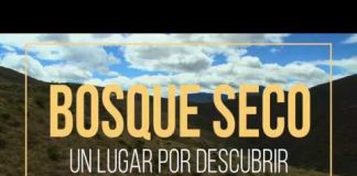 Bosque Seco: Un lugar por descubrir