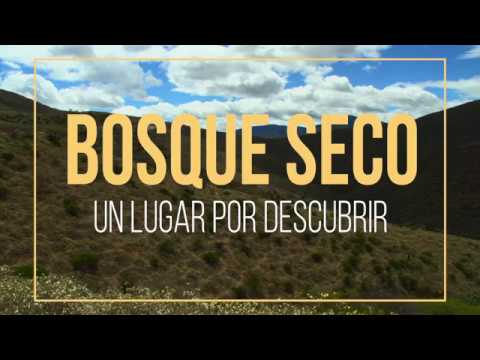 Bosque Seco: Un lugar por descubrir