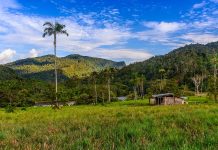 Boletín OBSA – Agosto 2018 Alto Nangaritza paisaje