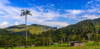 Boletín OBSA – Agosto 2018 Alto Nangaritza paisaje