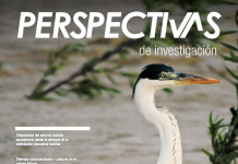 Perspectivas de investigación (Octubre – Noviembre 2018) Portada Perspectivas Octubre Noviembre 2018