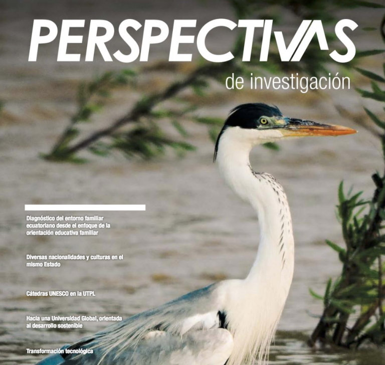 Perspectivas de investigación (Octubre – Noviembre 2018)
