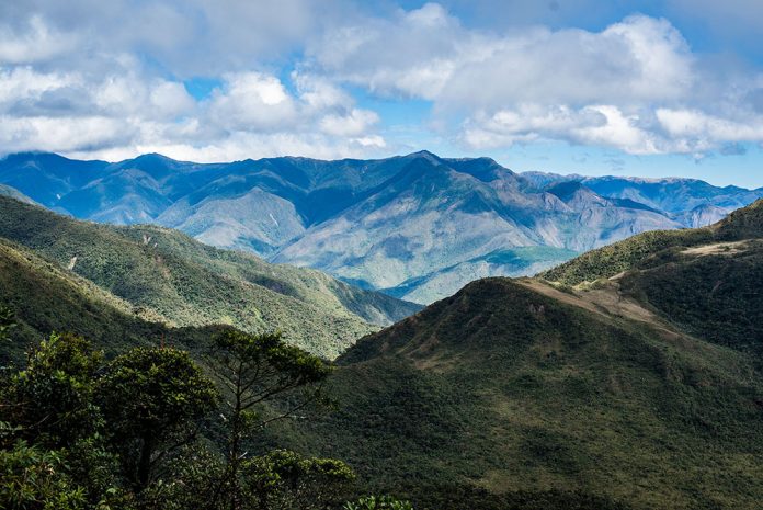 Parque Nacional Podocarpus es un refugio de biodiversidad.