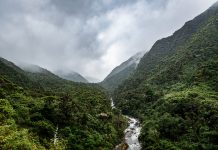 Yacuri: El parque más lindo del mundo Bosque tropical en el Parque Nacional Yacuri es un refugio de biodiversidad. San Andrés (Zamora - Chinchipe)