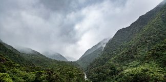 Yacuri: El parque más lindo del mundo Bosque tropical en el Parque Nacional Yacuri es un refugio de biodiversidad. San Andrés (Zamora - Chinchipe)