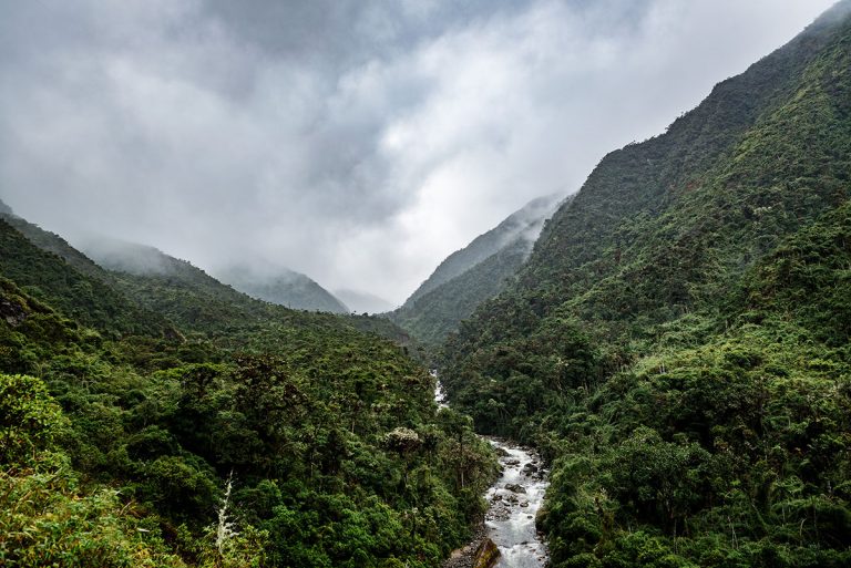 Bosque tropical en el Parque Nacional Yacuri es un refugio de biodiversidad. San Andrés (Zamora - Chinchipe)