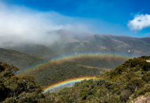 Recorrido virtual: Yacuri Parque Nacional Yacuri es un refugio de biodiversidad.