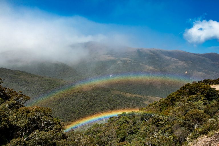 Parque Nacional Yacuri es un refugio de biodiversidad.