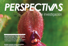 Perspectivas de investigación (Abril – Mayo 2019)