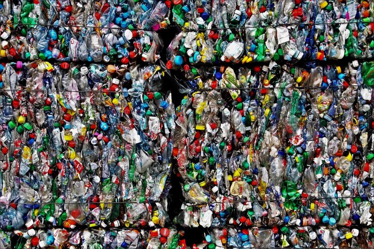 los desechos plasticos son un gran problema tanto para el medio ambiente como para animales y personas