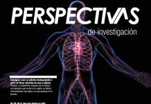 Perspectivas de investigación (Junio – Julio 2019)