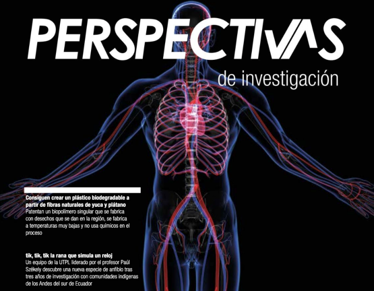 Perspectivas de investigación (Junio – Julio 2019)