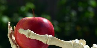 Los peligros de la exposición indirecta a pesticidas pesticidas y muerte