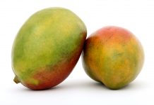 Extracción de antioxidantes a partir de la hoja de mango Fruta de mango