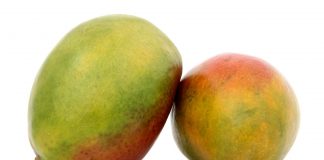 Extracción de antioxidantes a partir de la hoja de mango Fruta de mango