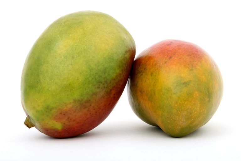 Fruta de mango