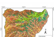 Biomasa, la reserva natural de Carbono Mapa arboles