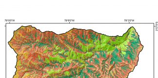 Biomasa, la reserva natural de Carbono Mapa arboles