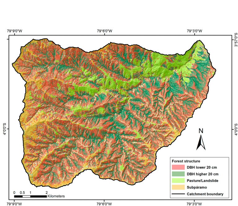 Biomasa, la reserva natural de Carbono