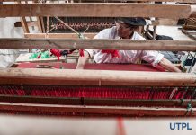 Fotografía de la semana