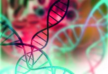 “Algunos pesticidas producen daño genotóxico, inmunológico, hepático o reacciones alérgicas” DNA structure