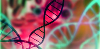 “Algunos pesticidas producen daño genotóxico, inmunológico, hepático o reacciones alérgicas” DNA structure