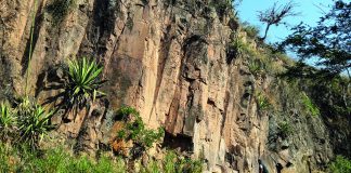 Tobas puzolánicas para elaborar material que abarate la construcción de viviendas populares tobas