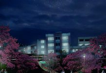 Sostenibilidad y desarrollo: una visión integral del verde público verde urbano