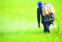 Uso de plaguicidas en la agricultura: ¿riesgo o beneficio? fungicidas