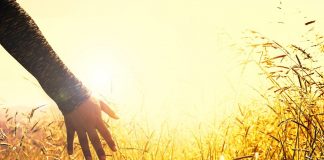 El papel de las Universidades en la gestión de una Cultura de paz paz