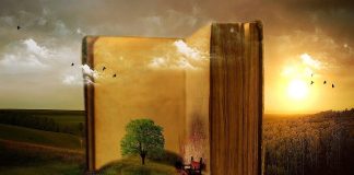 Proyecto ASCENDERE: creando el ecosistema de innovación académica libro