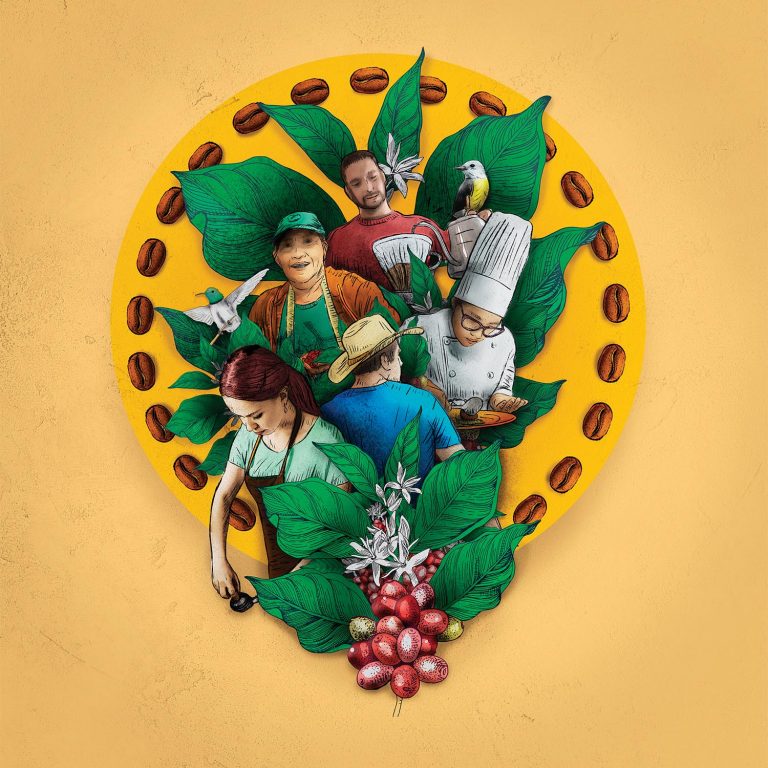 ilustración, café, javier vázquez, loja, cadena de valor, ecuador