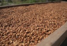 Más allá de la infusión