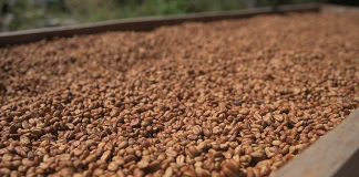 Más allá de la infusión