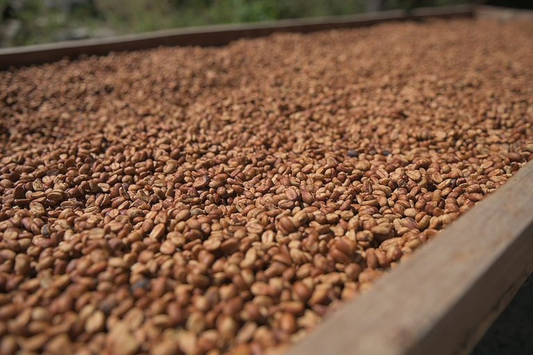Más allá de la infusión