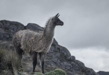 Un mundo por conocer