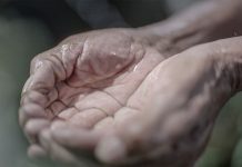 Siembra y cosecha de agua