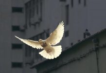 UTPL, referente nacional en la implementación de cátedras UNESCO