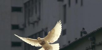 UTPL, referente nacional en la implementación de cátedras UNESCO