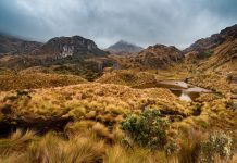 ‘Páramos, donde nace la vida’: alfabetización ambiental sobre un ecosistema extremo y poco conocido