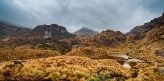 ‘Páramos, donde nace la vida’: alfabetización ambiental sobre un ecosistema extremo y poco conocido