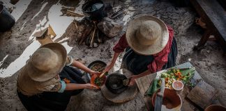 Granos andinos: alimento de astronautas que pasa desapercibido en la dieta de los ecuatorianos