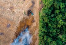 Impacto de los plaguicidas en la salud de la Amazonía